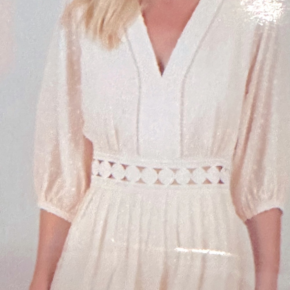 MOLLY BRAKEN BLUSH  DRESS